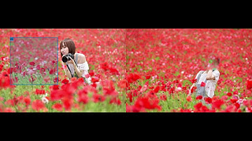 Poisson image editing