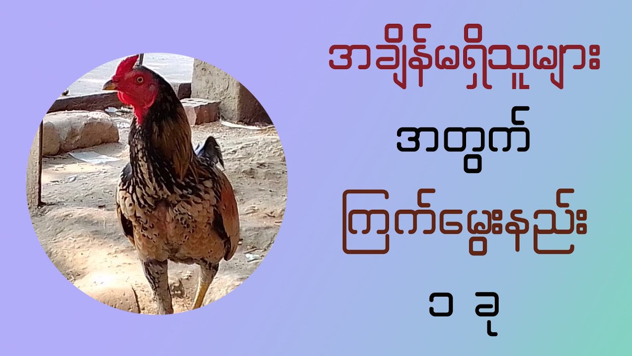 ခြံလောင် ကြက်မွေးနည်းစနစ် တစ်ခု