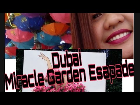 My Dubai Miracle Garden Escapade..  #MyDubai  #Memories #UnforgettableSmiles
