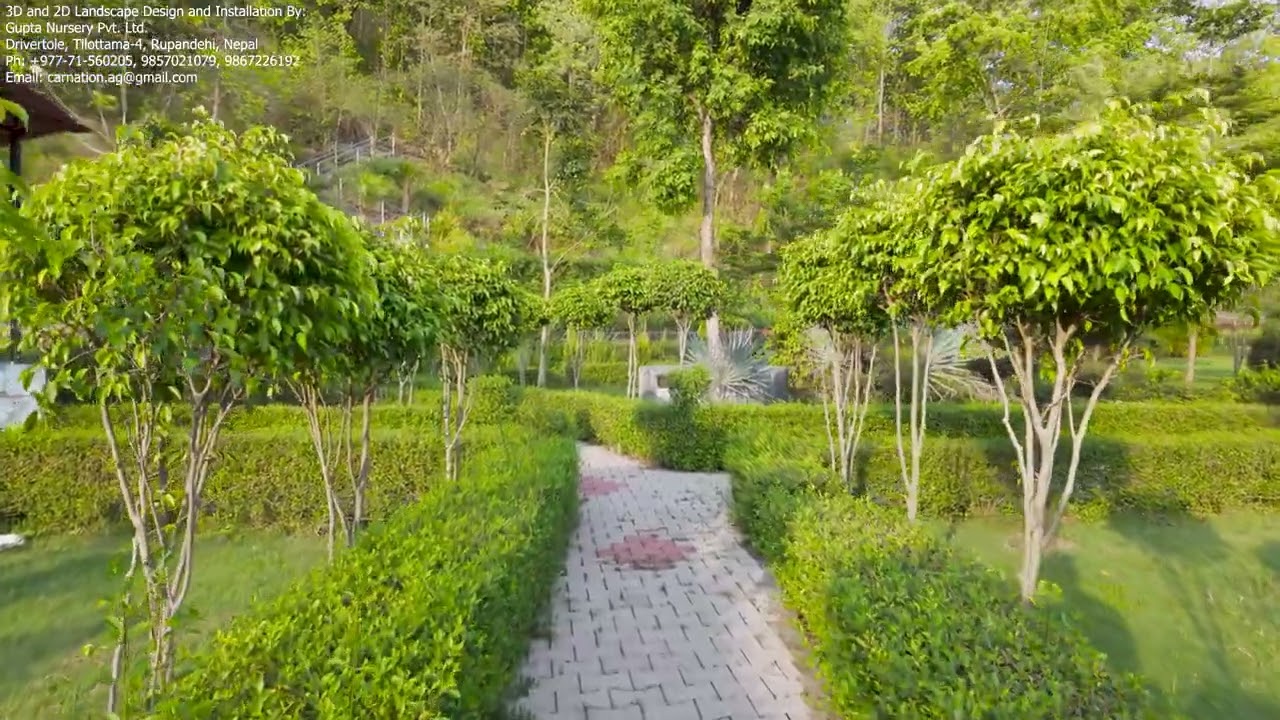 B. P. Koirala Adhyayan Prathisthan, 4K, Landscape Design, evergreen plant and flower, Fruit, Lawn,