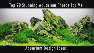 Top 20 Stunning Aquarium For Me - Aquarium design ideas