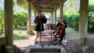 This Will Be (An Everlasting Love) - Natalie Cole - Appalachian StringWorks