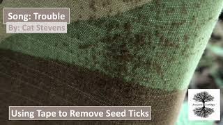 The BEST Way to Remove Seed Ticks: A Guide
