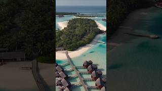 Paradise on Earth You Must See! Maldives #adventuretravel #travel #budgettravel