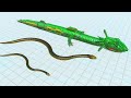 Green Anaconda of Evolution - All Units Unlock Animal Revolt Battle Simulator