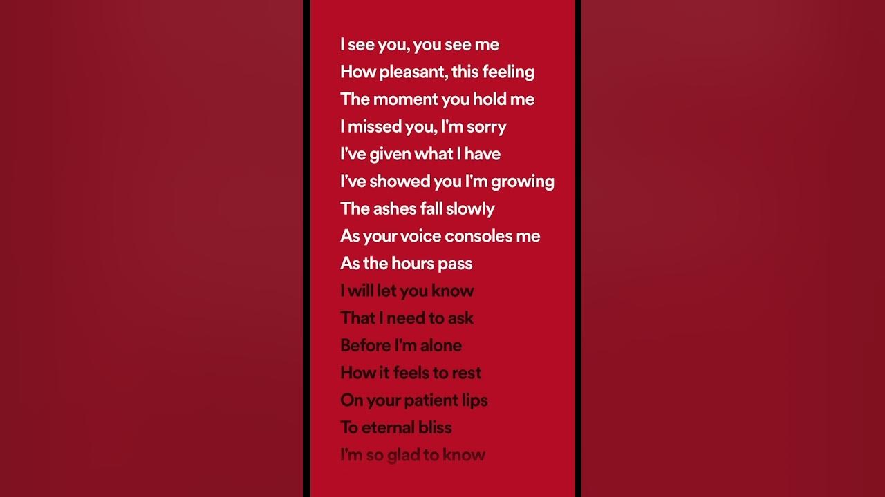 after-dark-by-mr-kitty-lyrics-youtube