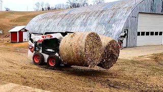 Bedding Cows With Corn Stalks and Hauling Feed! Life On a Small Dairy Farm! (Day Nine)