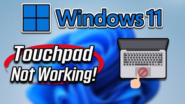 How To Fix Touchpad On Windows 11 [Tutorial]