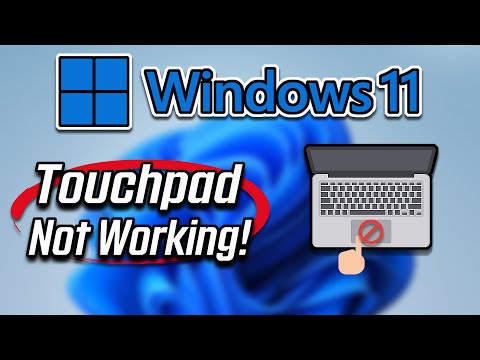 How To Fix Touchpad On Windows 11 [Tutorial]