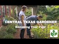 Remaking a yard into flowers food joy  central texas gardener