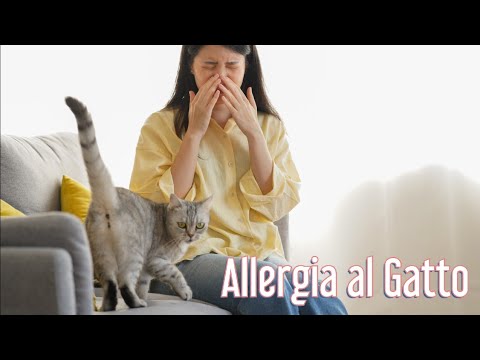 Video: Può una persona allergica vivere con un gatto?