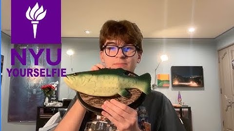 NYU Yourselfie Application Video 2025