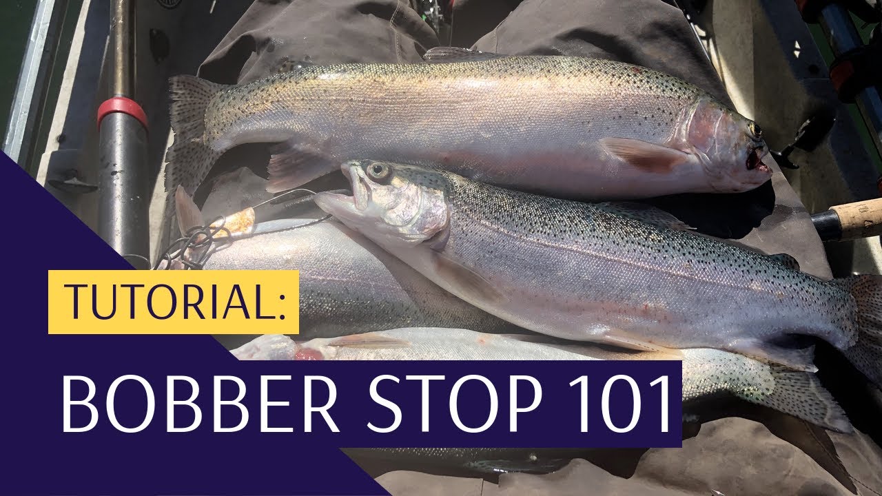 Trout Fishing: Bobber Stop 101 
