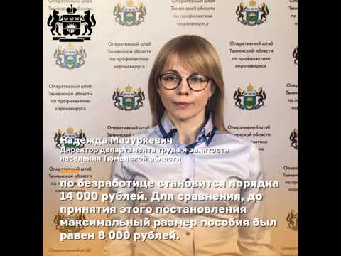 Что нужно знать тюменцам о пособии по безработице в период действия режима самоизоляции