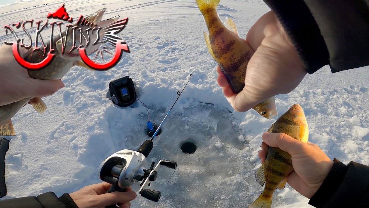 Ice Fishing with a Baitcaster NEW SPECIES CAUGHT! 