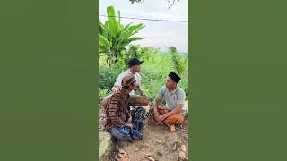 Tak pajuh binih Madura lucu