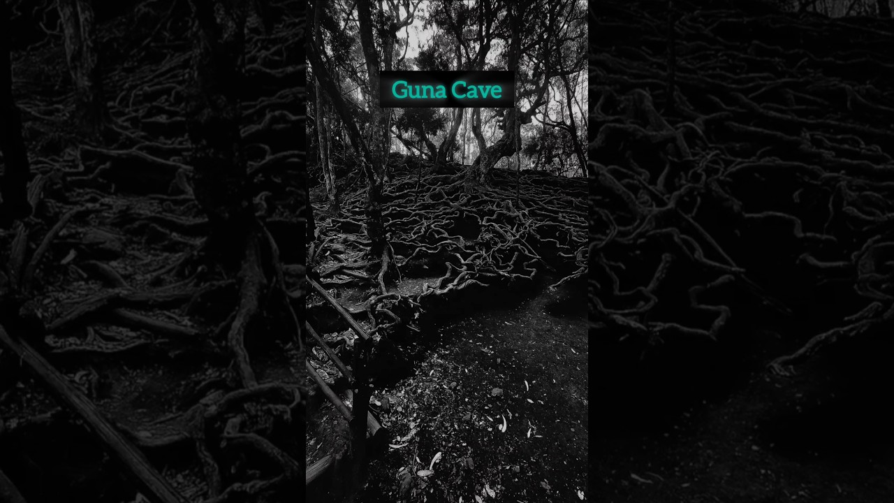 Guna cave☠️💀👿🤯, Devil's Kitchen🙀😱, Manjummel boys, 