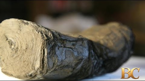 Scientists digitally “unroll” 2,000-year-old scroll scorched by Mount Vesuvius