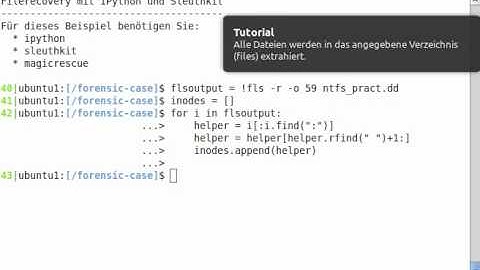 Recovering files using TSK (Sleuthkit) and determining their type