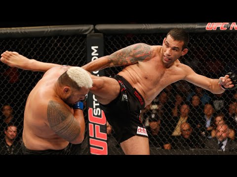 Top Finishes: Fabricio Werdum