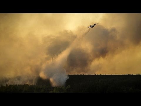 Meanwhile, There's a Huge Forest Fire Near Chernobyl