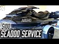 how to PROPERLY service your SEADOO for $100