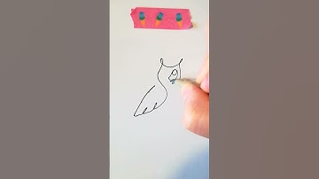 How to draw easy owl one line art quick draw simple drawing painting