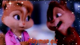 Burunduqlar - Maymun qiz🐒 (Official Video 2023) @Shavkat_Umarov_Official