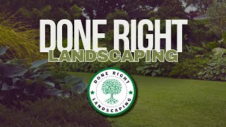 How do I control weeds effectively in my yard? Schertz TX