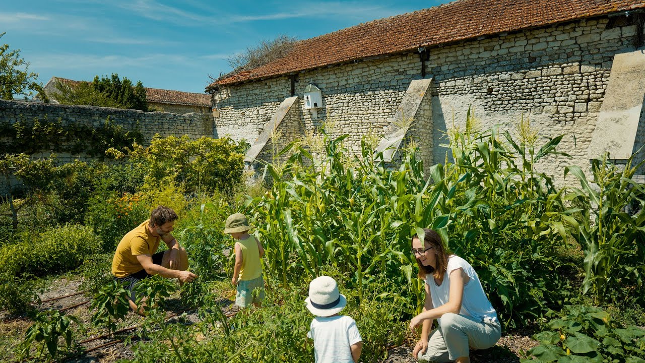 Our rural life as a young family | Abandoned garden renovation
