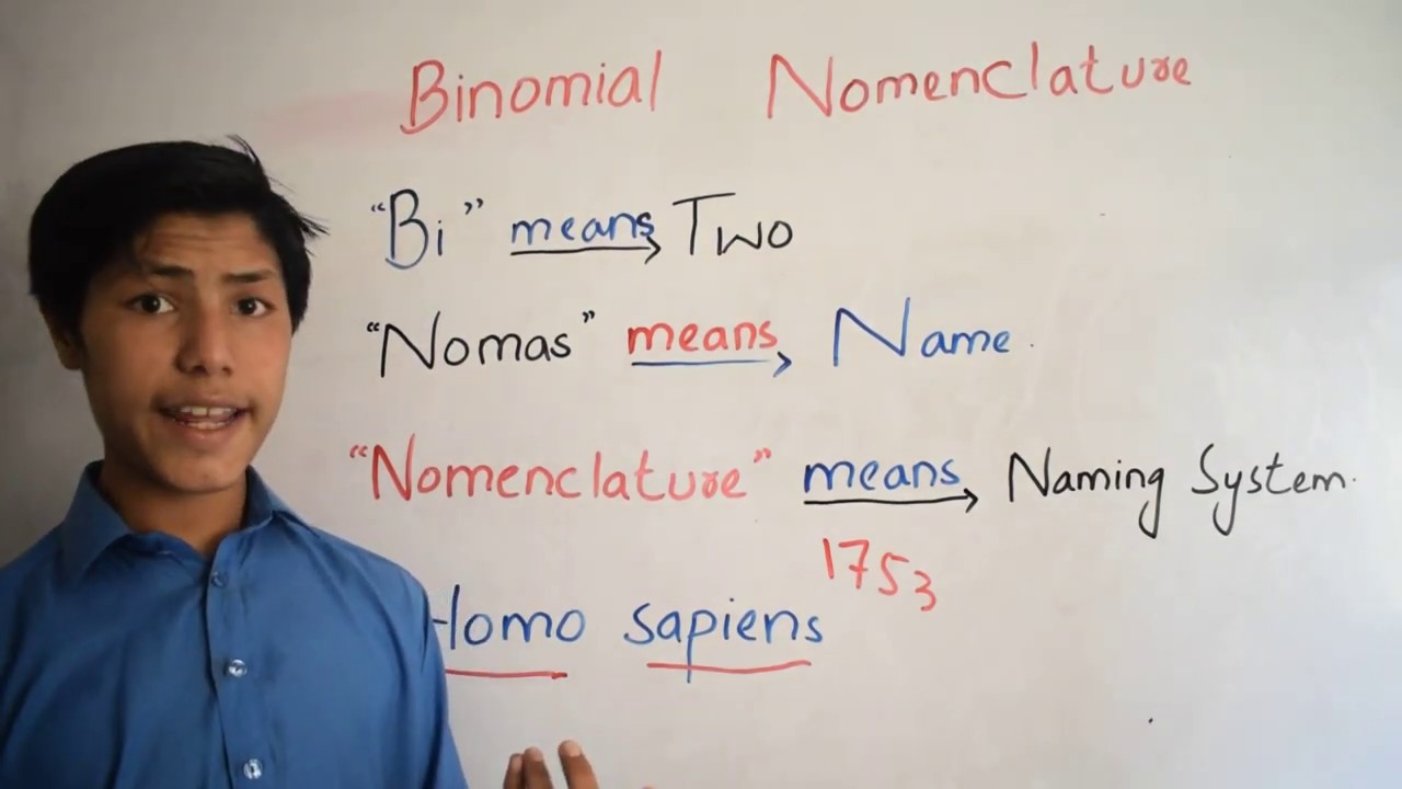 What is Binomial Nomenclature?