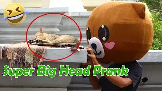 Super Big Head Prank Vs Sleeping Cat and Dog  _ Must Watch New Funny Video Prank 2022 [ 5 IN 1 ]