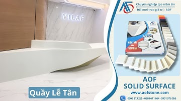 Tổng hợp Quầy lễ tân bằng đá Solid Surface sang trọng| Solid Surface
