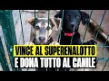 ANZIANO VINCE QUASI 100 MILA EURO AL SUPERENALOTTO E DECIDE DI DONARE TUTTI I SOLDI AL CANILE