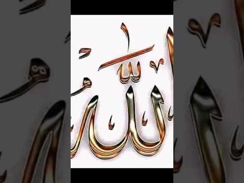 القارئ ماهر المعيقلي