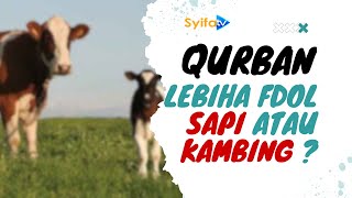 Is a cow or a goat a better sacrifice? | Ustadz Dr. Firanda Andirja, Lc. MA