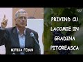 Mitica Fedur - Privind cu lacomie in gradina pitoreasca | POEZIE CRESTINA