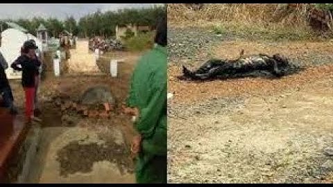 Bình Phước: Án chung thân cho kẻ giết vợ rồi đốt xác phi tang