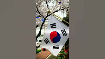 تصميمي علا صور علم كوريا الجنوبيه 