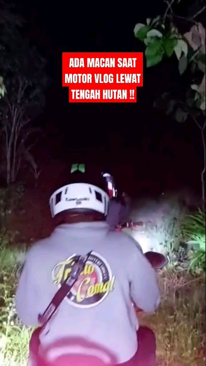 DIHADANG MACAN KECIL DITENGAH HUTAN !!