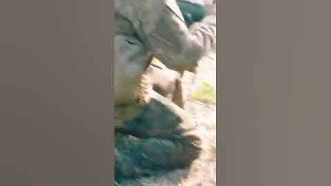 Russian T-72B3 military tank survives NLAW grenade launcher attacker.