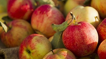Do You Know Your Apple Varieties? | Produce Made Simple