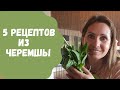 Черемша, 5 блюд| Сохрани этот чудо-продукт на год