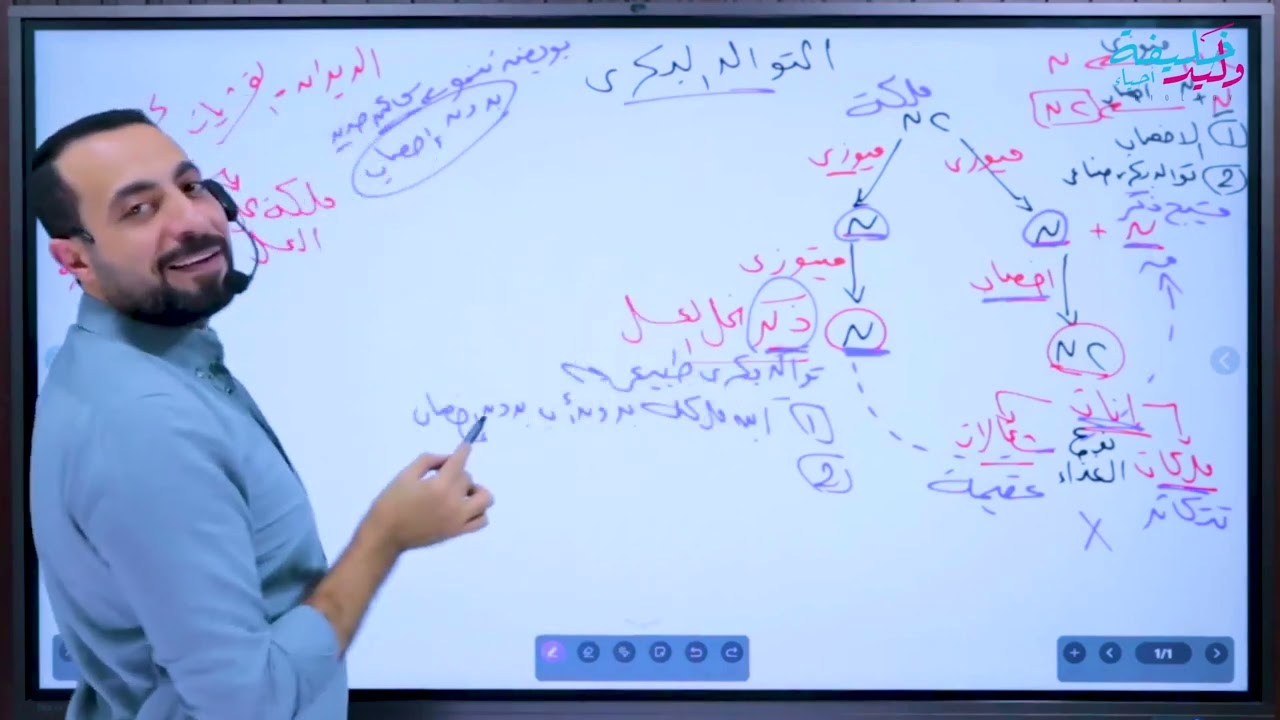 اتحداك لو فهمته بالطريقة دي قبل كداا فرم التوالد البكري وتريكاته اول مرة هتسمع الكلام ده