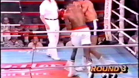 Evander Holyfield vs  Terry Mims