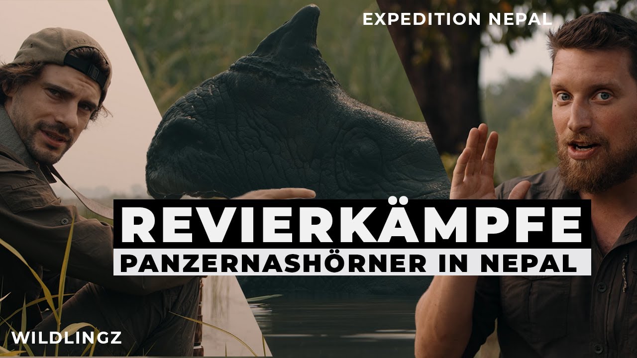 Kämpfende Nashörner und wir mittendrin | EXPEDITION NEPAL | Episode 2 | WILDLINGZ
