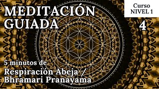 5 minutos de Meditación Guiada para principiantes: Respiración Abeja | Curso de Meditación Nivel 1/4