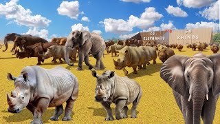 Paint &amp; Animals Duck, Cow, Gorilla, Lion, chicken, Elephant, Fountain Crossing Turtle Cartoon 