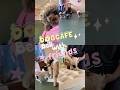 DOGCAFEBellさんで出会った可愛いお友達🐶🐾‪‪❣️