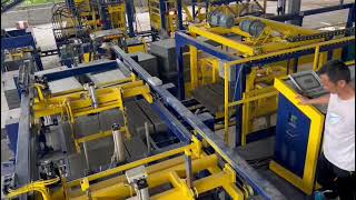 TEMA's Pushing-Type Cement Brick Palletizing Machine
